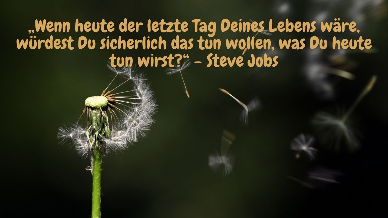 „Wenn heute der letzte Tag Deines Lebens waere wuerdest Du sicherlich das tun wollen was Du heute tun wirst – Steve Jobs